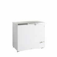 Congélateur coffre porte pleine inox créme glacé 278 litres - PFR305S SL