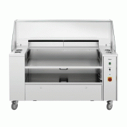 Poste de cuisson mobile complet PRO, tout inox, 220 V - 400 V