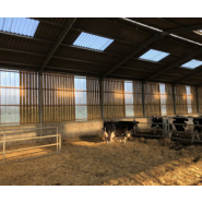 Bâtiment d'élevage pour bovin laitier sur mesure - Possibilité d'aménagement avec des logettes paillées - Ets Bobet
