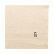 Serviette écolabel 2 plis en ouate recyclée naturel 30x30cm par 2400