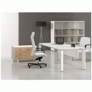 Bureau de direction fill evo