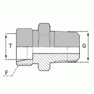 Raccords à bague - Mâle BSP conique (Whitworth) - FUMCO00604 - UMCO 06S/1/4 NE