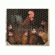 Grillage 10 m m triple torsion - poule - canard - oiseau - lapin - pigeon Grillage 10 m m triple torsion - poule - canard - oiseau - lapin - pigeon