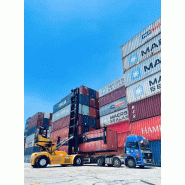 Matériels de manutention portuaire SDCY100KG5 - Chariots pour conteneurs vides avec moteur diesel contrôlé électroniquement