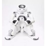 Nao - robot humanoïde - softbank robotics - haut de 58cm