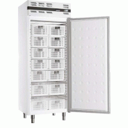 Armoire réfrigérée négative 535L GN 2/1 porte pleine extérieur blanc AFI Collin-Lucy