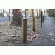 Borne Rondin bois 120 ou 140 mm