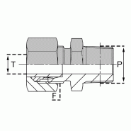 Raccords à bague Mâle NPT (Briggs) - LLUMNPTE0402 - UMNPT 04LL/1/8 EQ