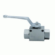 Vannes VBS 2 voies électro zinguées percées haute pression - Femelle gaz - Inox - Basique