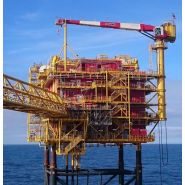 Rl 650 grue portuaire offshore - liebherr - capacité de levage max 25t