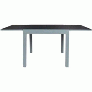 Table de jardin extensible en métal Haria 80 x 80 x 75 cm The Home Deco Factory - gris 3664944574439 Table de jardin extensible en métal Haria 80 x 80 x 75 cm The Home Deco Factory - gris 3664944574439