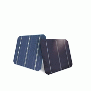 Panneaux solaires photovoltaïques sunmodule bisun