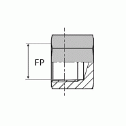 Bouchon femelle NPT tête hexagonale - 1"1/2' , 43.85