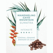Café grain grand cru sumatra