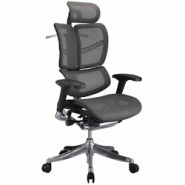 CLP Fauteuil de bureau ergonomique Norfolk avec Dossier et Appuie-tête ajustables Gris - gris plastique 317812 CLP Fauteuil de bureau ergonomique Norfolk avec Dossier et Appuie-tête ajustables Gris - gris plastique 317812