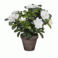 Mica Decorations Azalée Artificielle Blanche En Pot Gris Ø11,5X27Cm - 8712799859197 Mica Decorations Azalée Artificielle Blanche En Pot Gris Ø11,5X27Cm - 8712799859197