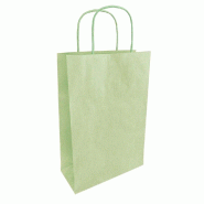 Sac en papier et betterave vert menthe 23x12x30cm - par 50