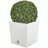 WellHome - Pot 32 L Rato coloris blanc avec boule de buis 36cm - blanc plastique PK3894