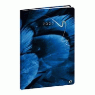 QUO VADIS ministre fr hipsy plume - 0151082q QUO VADIS ministre fr hipsy plume - 0151082q