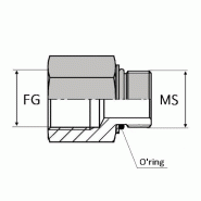 Adaptateur droit femelle gaz cylindrique 1/8'' x mâle SAE 3/4'' - WFGMS00408 - Avec joint o'ring