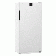 Armoire positive avec option spéciale fromage - température +2°C à +15°C, dimensions 747x769x1684 mm