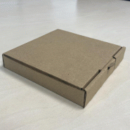 Boîte postale extra plate 11.5x12x4cm - par 20