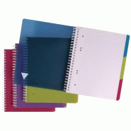 Clairefontaine Lot de 5 Cahier Linicolor Intensive Evolutiv'book A4+, 240p./120 feuilles détachables 90 g/m² reliure intégrale, couv. Polypro assor