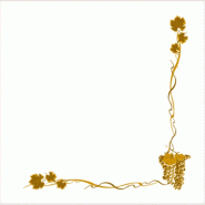 Serviette papier gaufré 2 plis blanc Bacchus 40x40cm - par 1200