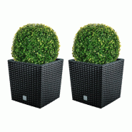 WellHome - Lot de 2 jardinières 32 L Rato Low en coloris anthracite avec boule de buis de 36 cm - marron plastique PK3926