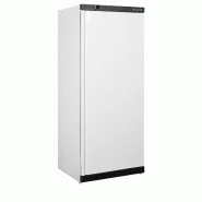 Refroidisseur de stockage GN2/1 UR600W1 (  620 / 570 L) blanc TEFCOLD