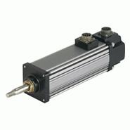 Verin electrique avec moteur integre serie gsm