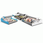 Vitrine réfrigérée spéciale poissons VX2 - 2 bacs GN 1/1 | Sayl Barcelona - XL - Bleu Vitrine réfrigérée spéciale poissons VX2 - 2 bacs GN 1/1 | Sayl Barcelona - XL - Bleu