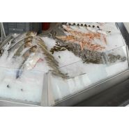 Vitrines réfrigérées pour poissonnerie