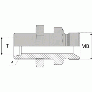 Droit mâle cloison 24° x mâle BSP pour bague BS - RUMCYC1306 - UMCY 13/3/8 BSP NE CLOISON