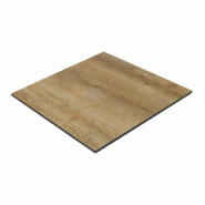 Stamp Reverdy Plateau compact chant droit 60x60 canyon - 3661365003241