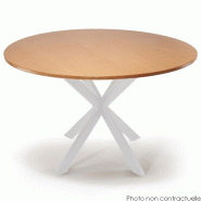 Mottez Pied de table central coloris blanc mat - blanc acier 2770