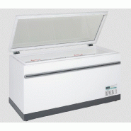 Congélateur porte vitrée relevable - Gamme de température -24°C/-16°C - Modèles 600 et 700 disponibles Congélateur porte vitrée relevable - Gamme de température -24°C/-16°C - Modèles 600 et 700 disponibles