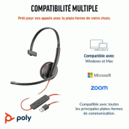 Micro-casque monaural USB-C Poly Blackwire 3210 + adaptateur USB-C/A (lot)