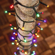 Guirlande led 40M 1000 LED multicolore 8 jeux de lumière mémoire câble vert extérieur Lotti - multicolore 8024199046269