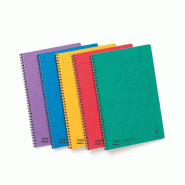 Clairefontaine Lot de 10 Cahier Europa Notemaker A4, 120p./60 feuilles détachables 90 g/m² reliure intégrale, ligné, coloris assortis (5) - multic