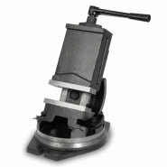 EBERTH Etau de machine rotatif et basculant en acier moulé, Max. Largeur de serrage 125mm, largeur des mors 160mm, étau pour perceuse - gris acier T