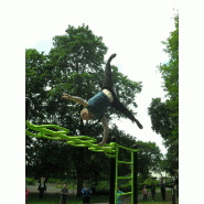 Street Workout DAMAPRO - Équipement Snake Barre en acier galvanisé thermolaqué - Barre réglable jusqu'à 240cm Street Workout DAMAPRO - Équipement Snake Barre en acier galvanisé thermolaqué - Barre réglable jusqu'à 240cm