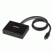 Switch bidirectionnel Lindy USB 3.2 Gen 1 Type-C à 2 ports - 4002888433297