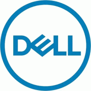 DELL 161-BCHF disque dur 2,4 To 10000 tr/min 2.5" SAS
