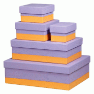Set de 5 boîtes gigognes Rhodiarama, finition simili cuir italien, coloris iris - violet 318889C