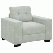 VidaXL Fauteuil Gris clair 100x78x80 cm Velours Modèle AbriFlamme 100 - 8721158690074