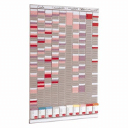 NOBO Planning multi-usages VAL-REX 10 bandes - livré avec fiches NOBO NOBO Planning multi-usages VAL-REX 10 bandes - livré avec fiches NOBO