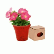 Am174886 - pot de fleurs - advert à personnaliser