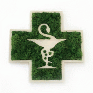 Croix de pharmacie végétales - Vert, Lichen scandinave pour l'intérieur uniquement, Style 3_0