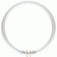 2gx13 circline 22w 3000k /830 philips